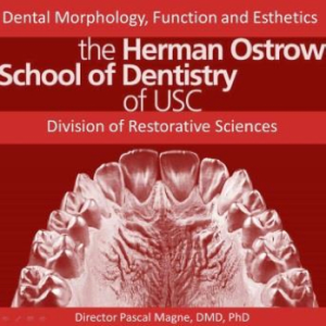 Dental Morphology, Function and Esthetics | the Herman Ostrow School of Dentistry of USC | Division of Restorative Sciences